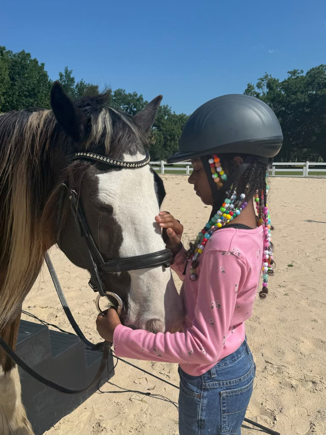 Private Beginner Riding Lesson