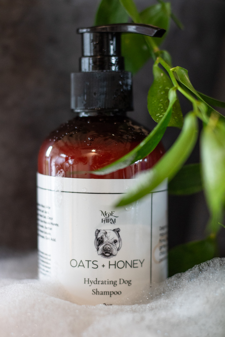 Oats + Honey Dog Shampoo