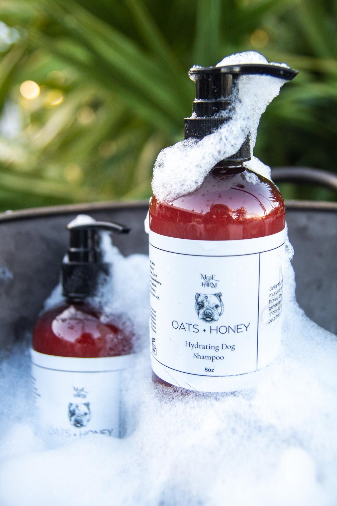 Oats + Honey Dog Shampoo