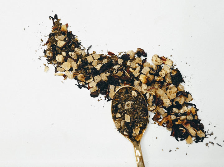 Close-up of a dried plant with brown and yellow flowers on a white background